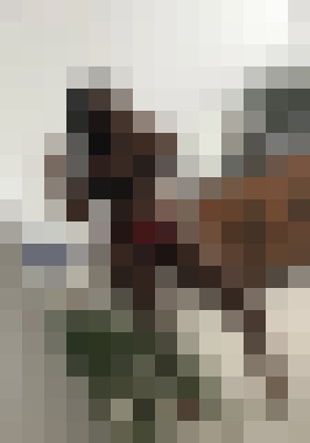 Background image - blurred