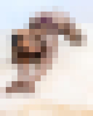 Background image - blurred