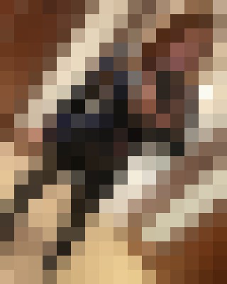 Background image - blurred