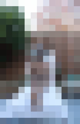 Frenchie Sacramento, California Escort, Pornstar, Verified Adult Service Provider, Companion in United States | 5