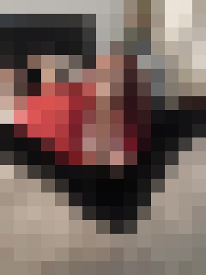 Funsize44 Phoenix, Arizona Escort, DUO, Couple, Verified Adult Service Provider, Companion in United States | 9