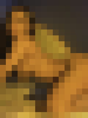 Background image - blurred