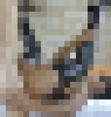 RavenSwallowz Columbus, Ohio Escort, Pornstar, Verified Adult Service Provider, Companion in United States | 172
