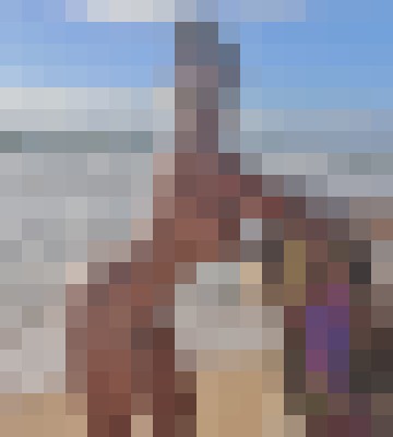 RavenSwallowz Columbus, Ohio Escort, Pornstar, Verified Adult Service Provider, Companion in United States | 87