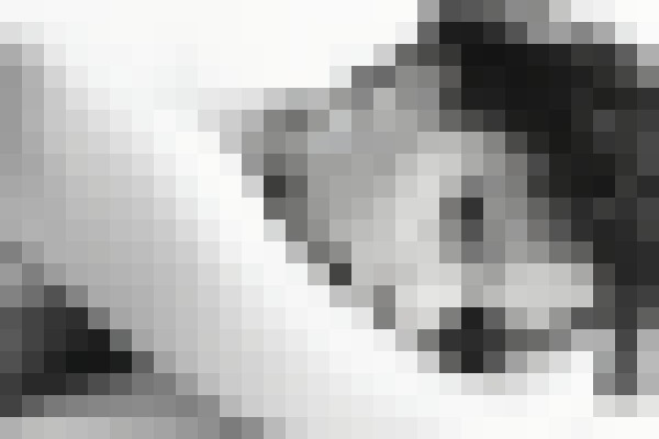 Background image - blurred