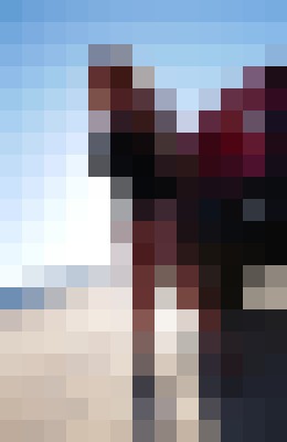 Brooke Diesel Las Vegas, Nevada Escort, Pornstar, BDSM, DUO, Couple, Massage, Verified Adult Service Provider, Companion in United States | 6