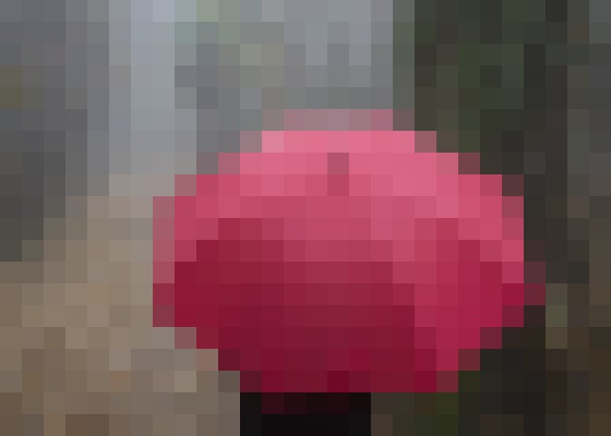 Escort-ads.com | Blurred background picture for member OliviaD