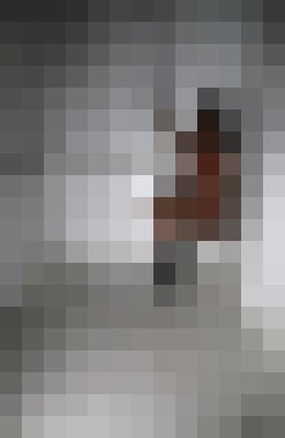 Ceto Seattle, Washington Escort, Pornstar, BDSM, DUO, Couple, Massage, Verified Adult Service Provider, Companion in United States | 16