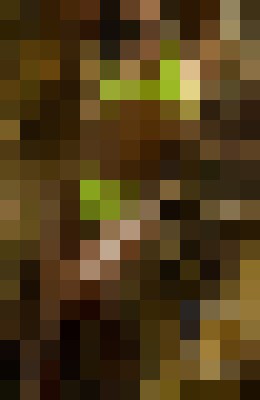 Background image - blurred