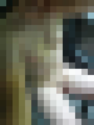 Background image - blurred
