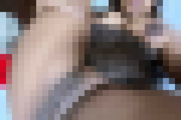 Lynn18 Pittsburgh, Pennsylvania Escort, Pornstar, Couple, Massage, Verified Adult Service Provider, Companion in United States | 4