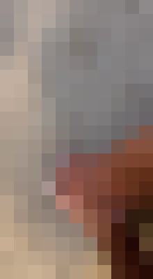 Chanel005 San Bruno, California Escort, Pornstar, DUO, Massage, Verified Adult Service Provider, Companion in United States | 1