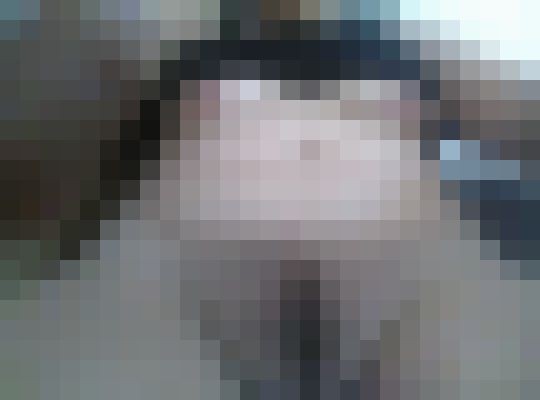 Sazz Columbus, Ohio Escort, Pornstar, Massage, Verified Adult Service Provider, Companion in United States | 5