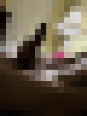 Background image - blurred