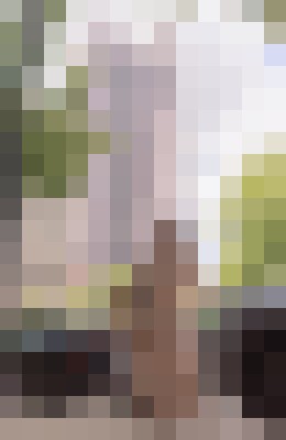 Background image - blurred