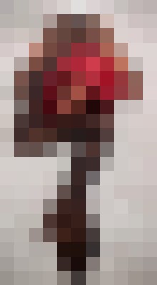 Background image - blurred