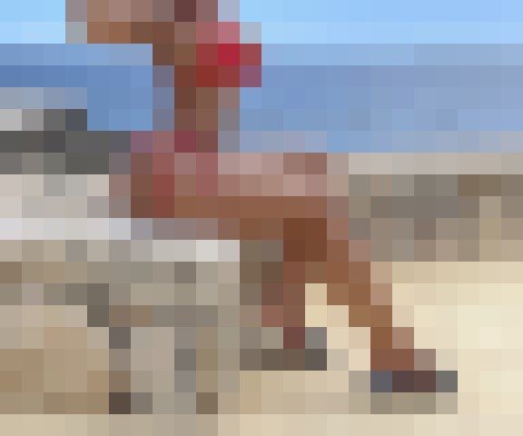 Background image - blurred