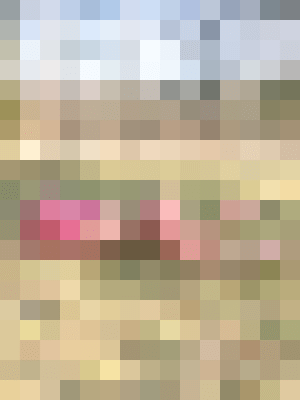 Background image - blurred