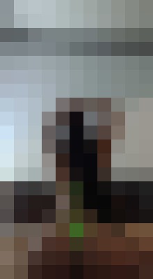 Background image - blurred