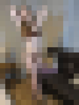Background image - blurred
