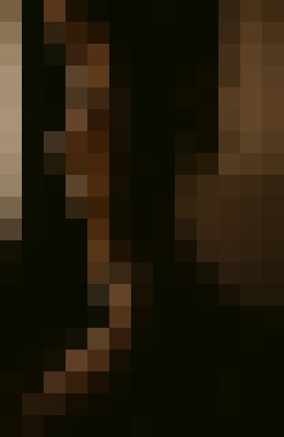Harper West Austin, Texas Escort, , Verified Adult Service Provider, Companion in United States | 8