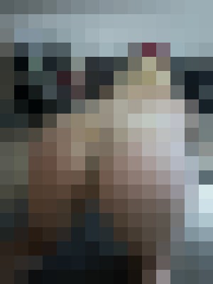 Background image - blurred
