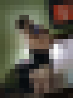 Background image - blurred