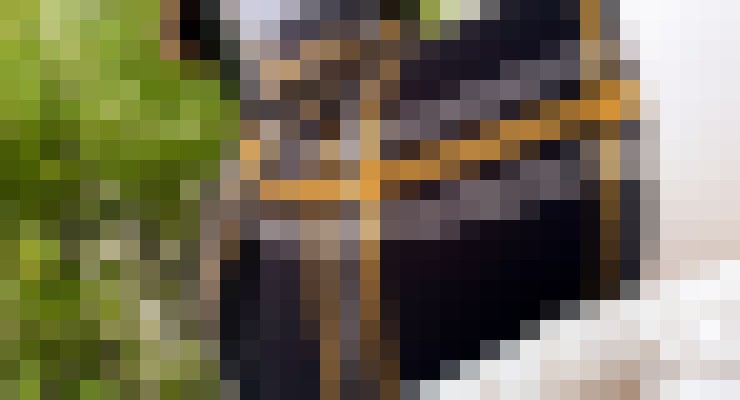 Loopie-Lana Grand Rapids, Michigan Escort, BDSM, DUO, Couple, Massage, Verified Adult Service Provider, Companion in United States | 3