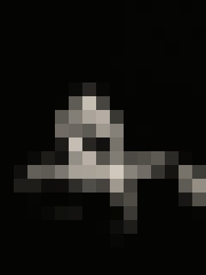 FunSizeLyric Macon, Georgia Escort, , Verified Adult Service Provider, Companion in United States | 4