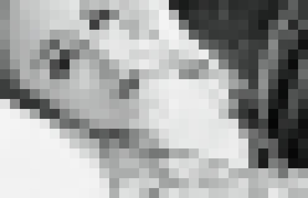 Just E Louisville-Jefferson County, Kentucky Escort, Pornstar, Couple, Massage, Verified Adult Service Provider, Companion in United States | 4