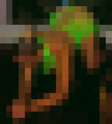 Background image - blurred