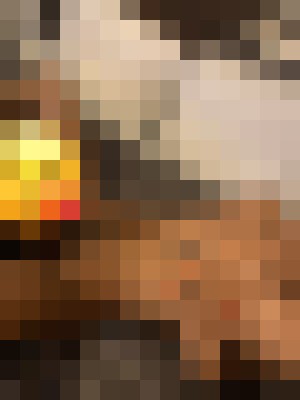 Loalti Milwaukee, Wisconsin Escort, DUO, Verified Adult Service Provider, Companion in United States | 4