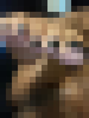 Diaxmond Asheville, North Carolina Escort, Pornstar, Verified Adult Service Provider, Companion in United States | 3