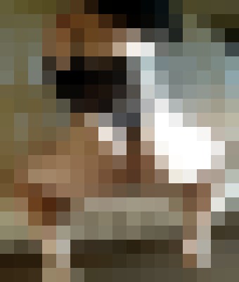 Samantha Diamond Irvine, California Escort, Pornstar, BDSM, Massage, Verified Adult Service Provider, Companion in United States | 5