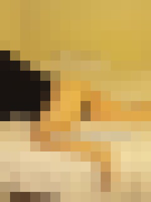 Samantha Diamond Irvine, California Escort, Pornstar, BDSM, Massage, Verified Adult Service Provider, Companion in United States | 8