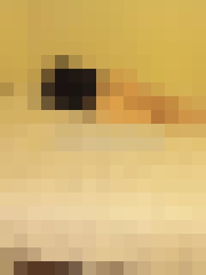 Samantha Diamond Irvine, California Escort, Pornstar, BDSM, Massage, Verified Adult Service Provider, Companion in United States | 9