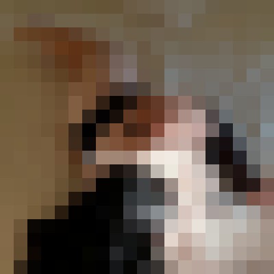 Samantha Diamond Irvine, California Escort, Pornstar, BDSM, Massage, Verified Adult Service Provider, Companion in United States | 16