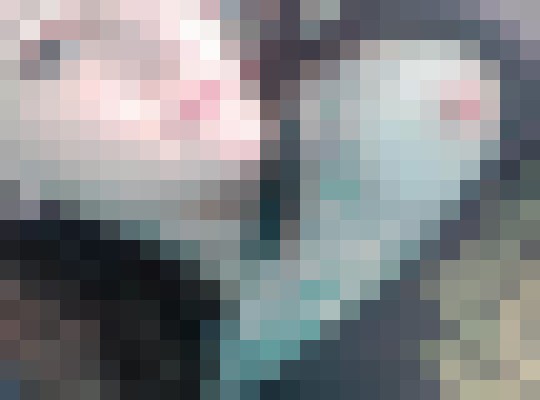 Reighan Edmonton Escort, , Verified Adult Service Provider, Companion in Canada | 6