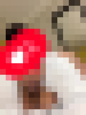 Background image - blurred