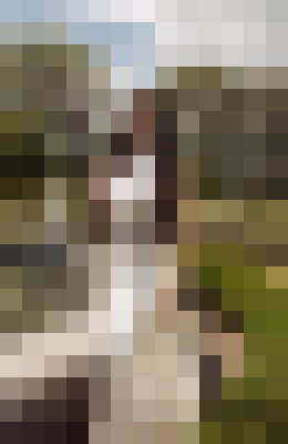 Background image - blurred