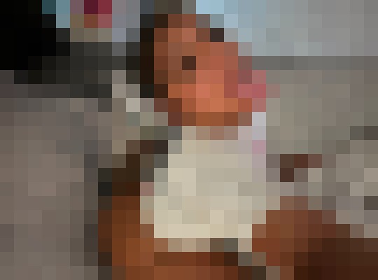 Background image - blurred