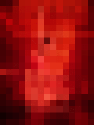 Escort-ads.com | Blurred background picture for agency Red Rooms
