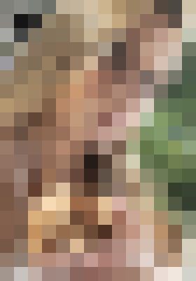 Background image - blurred