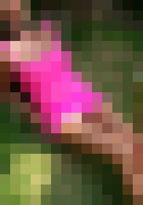 Background image - blurred