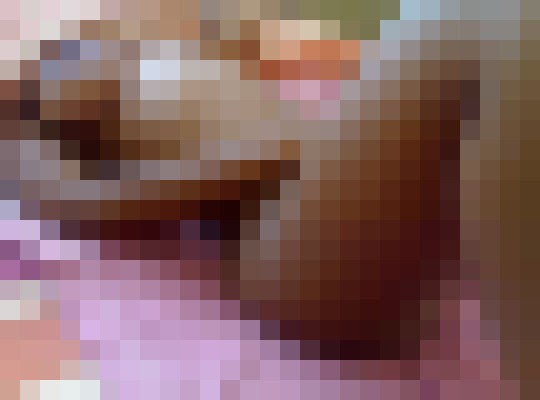 Ebony Bianca Antwerp Escort, Pornstar, DUO, Massage, Verified Adult Service Provider, Companion in Belgium | 2