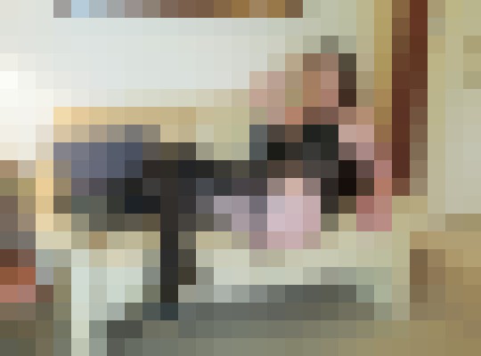 Background image - blurred