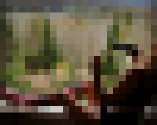 Background image - blurred