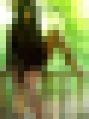 Background image - blurred