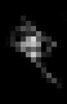 Background image - blurred