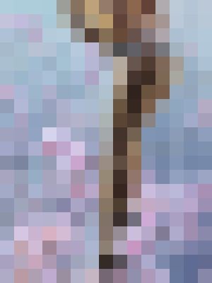 Background image - blurred